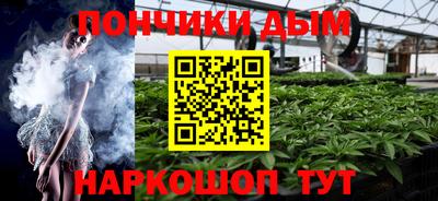 гидра Кингисепп