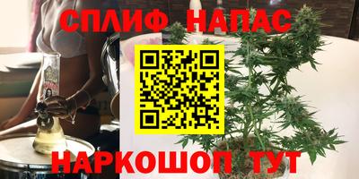 стафф Кимры