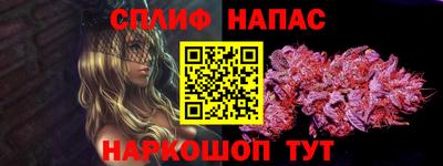 гидра Кингисепп