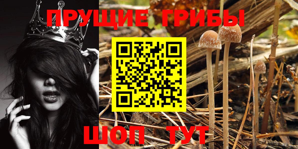 Псилоцибиновые грибы Magic Shrooms  Вход с VPN  Камышлов 
