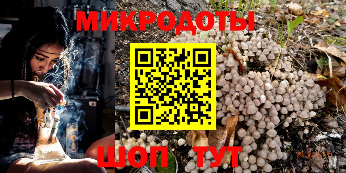 Псилоцибиновые грибы Magic Shrooms Камышлов